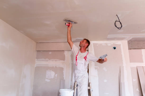 Best Cabinet Painting and Refinishing  in Lighthouse Point, FL